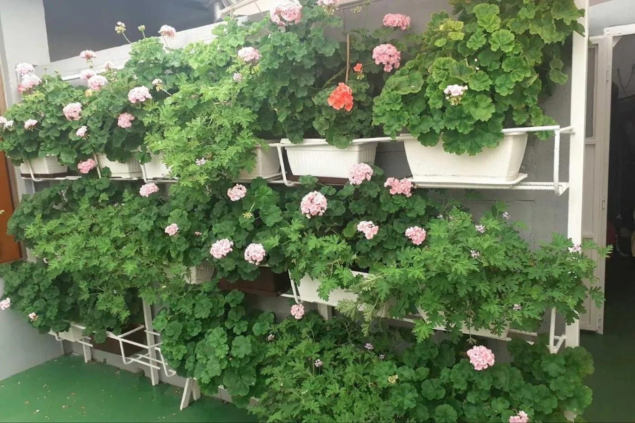 Two Bedrooms Apartment Vrsar Goga-Max 4 Pax, Beach Area